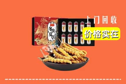 宁强县回收冬虫夏草